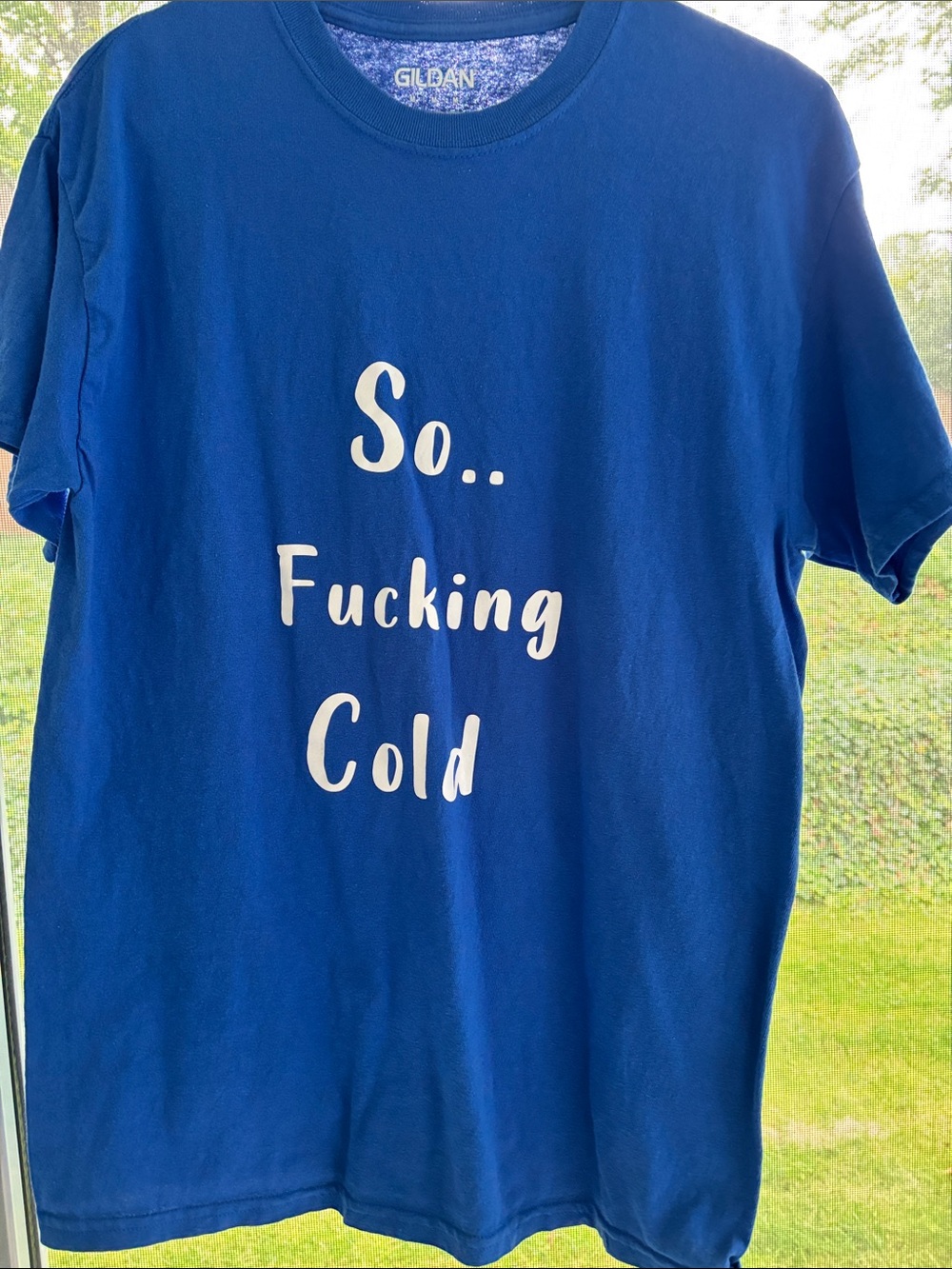 Gildan Men's Royal Blue Tee with White 'So.. Fucking Cold' Graphic